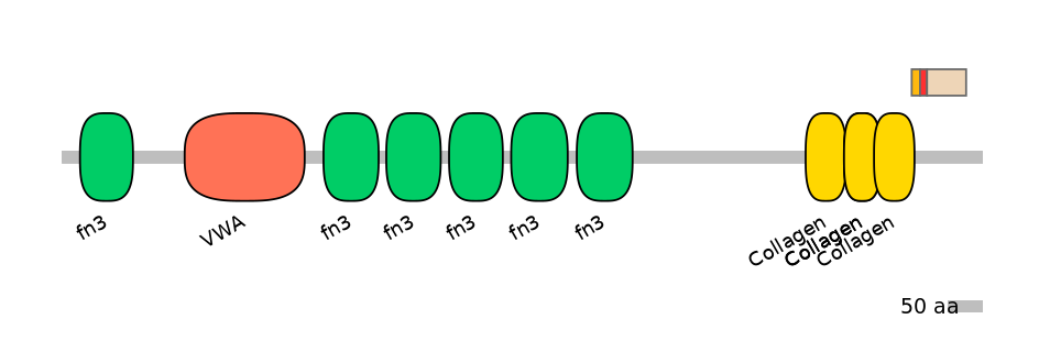 MmuALTD0003420-2_2-INC