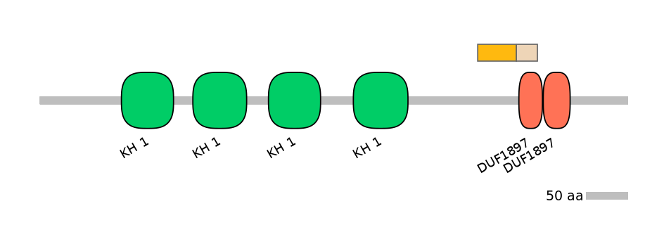 MmuALTD0005693-1_2-EXC