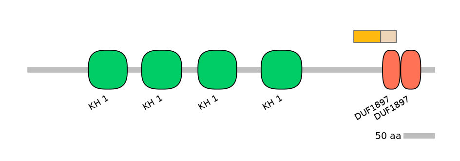 MmuALTD0005693-1_2-INC