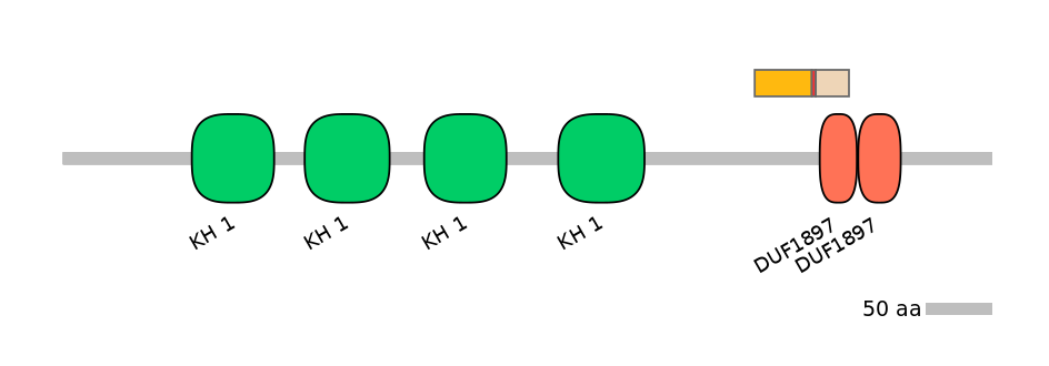 MmuALTD0005693-2_2-INC