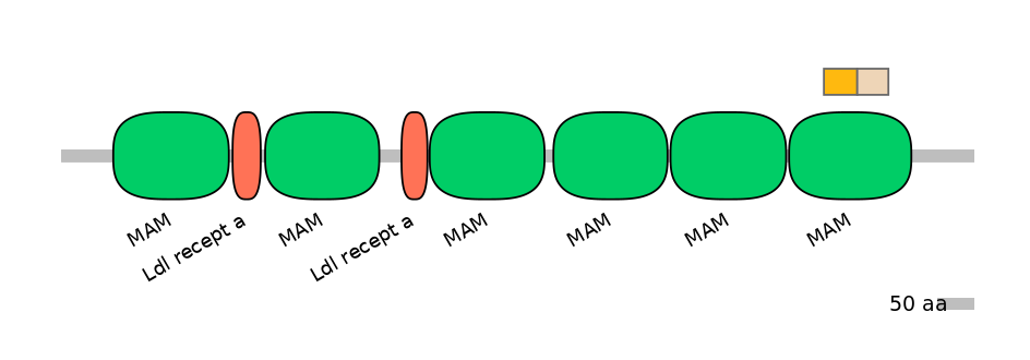 MmuALTD0008111-1_2-EXC