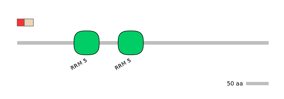 MmuALTD0008250-2_4-INC