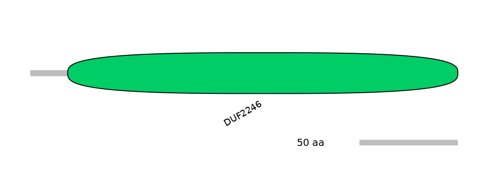 MmuALTD0008629-1_2-EXC