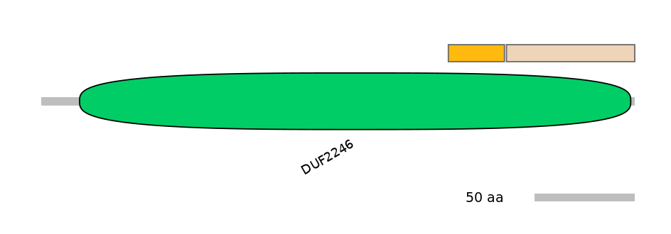 MmuALTD0008629-2_2-EXC