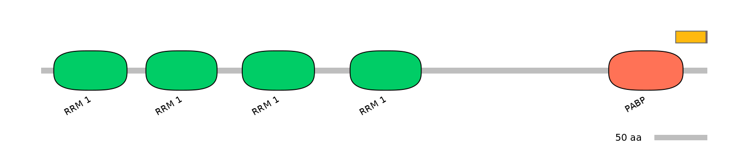 MmuALTD0009863-3_4-EXC