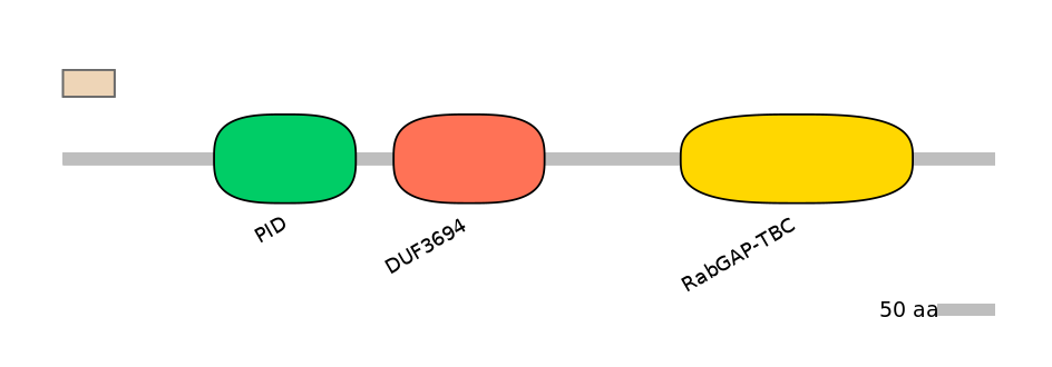 MmuALTD0011454-1_2-EXC