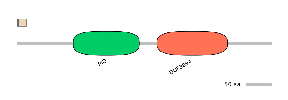 MmuALTD0011454-1_2-INC