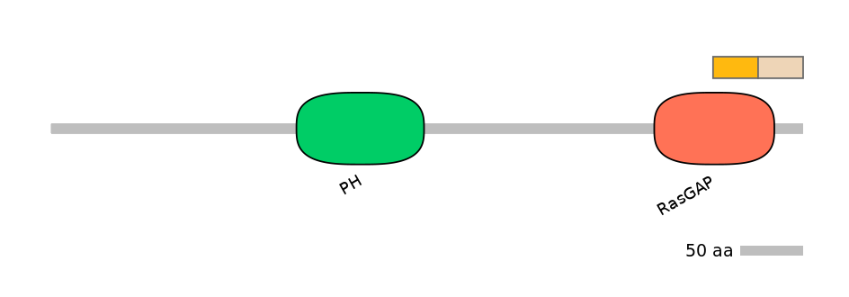 MmuALTD0011593-3_4-EXC