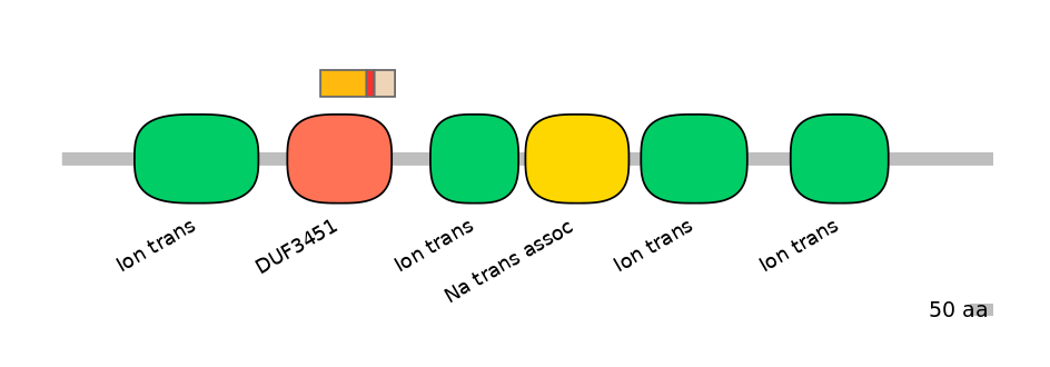MmuALTD0012450-3_3-EXC