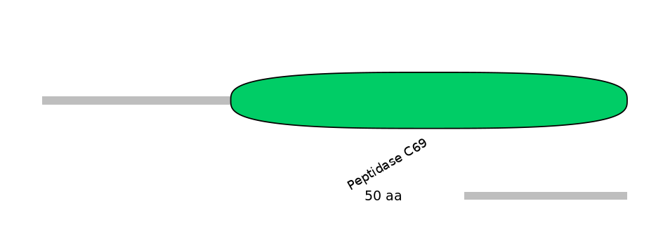 MmuALTD0012472-1_2-EXC