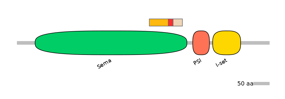 MmuALTD0012568-2_3-EXC