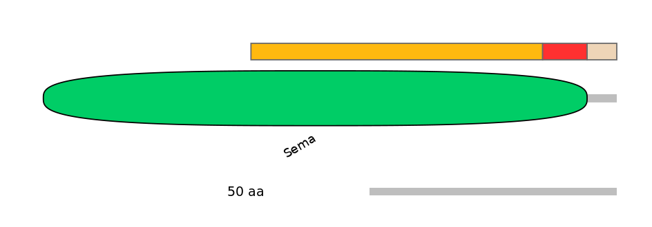 MmuALTD0012568-2_3-INC