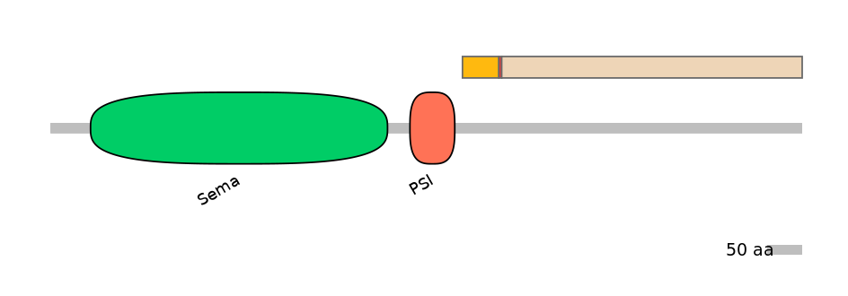 MmuALTD0012584-2_2-INC