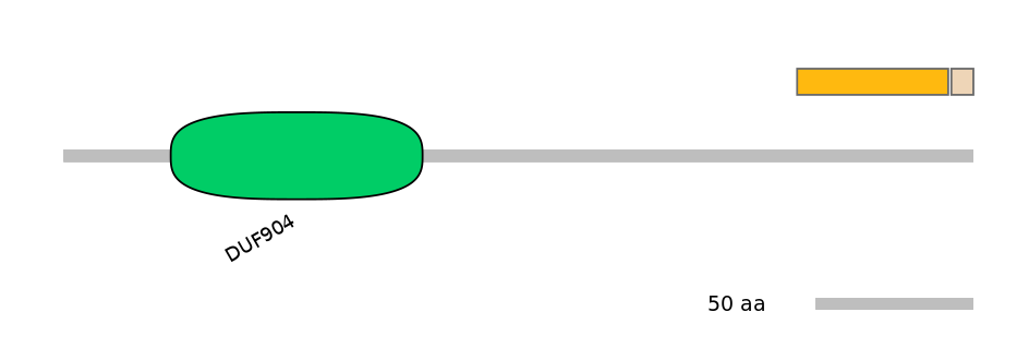 MmuALTD0012666-1_4-EXC