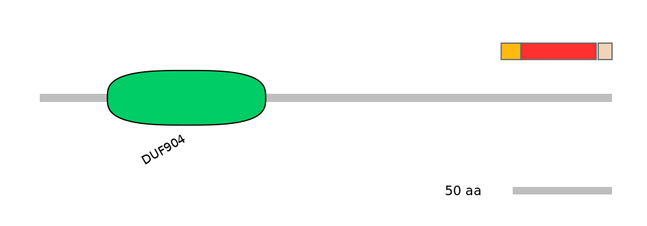 MmuALTD0012666-3_4-EXC