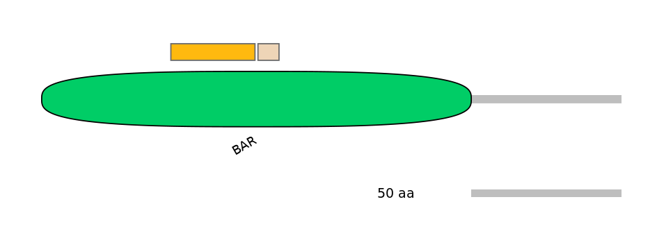 MmuALTD0012771-1_2-EXC