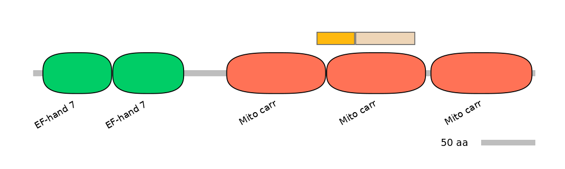 MmuALTD0012951-2_2-EXC