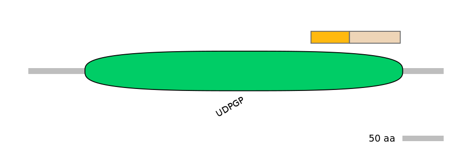 MmuALTD0015071-1_3-EXC