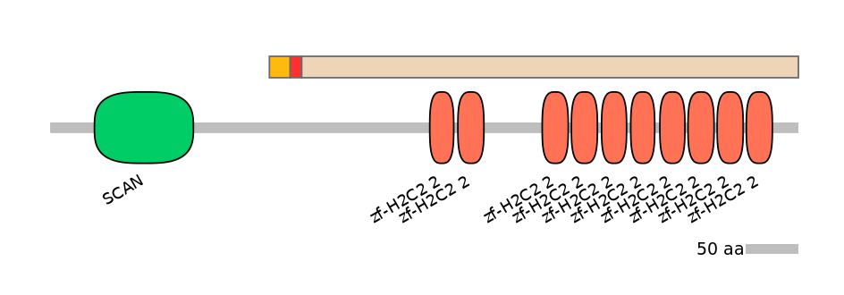 MmuALTD0016046-2_3-EXC