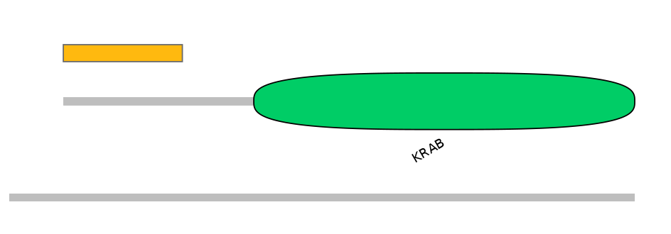 MmuALTD0016242-4_4-EXC