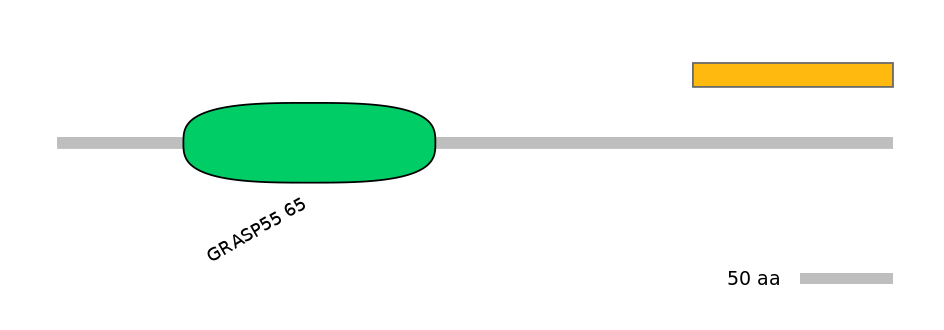 MmuALTD1003570-2_2-EXC