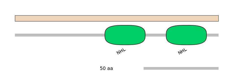 MmuALTD1011813-1_2-EXC