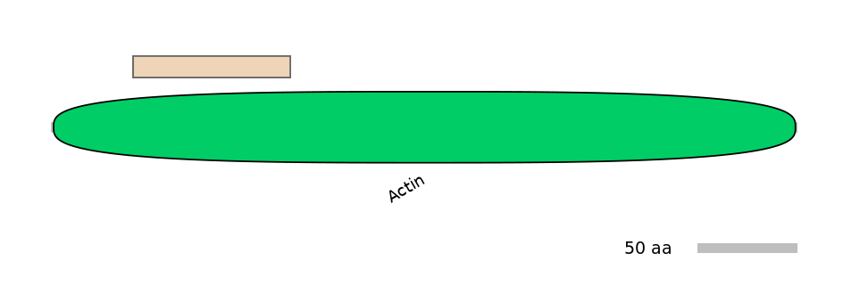 MmuALTD1016719-1_7-EXC