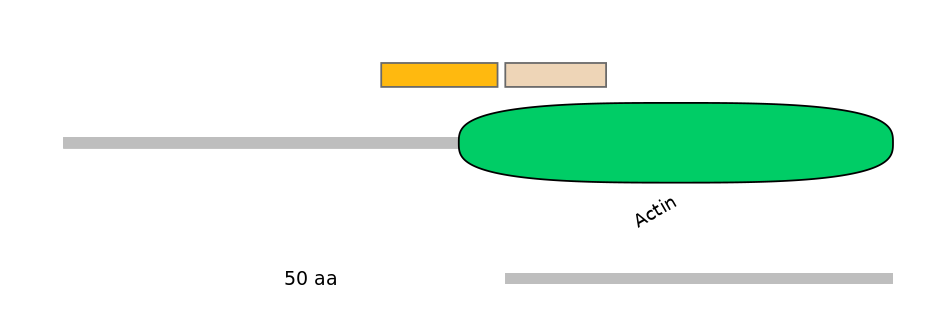 MmuALTD1016719-6_7-EXC