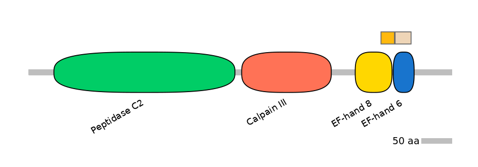 MmuALTD1019477-2_2-EXC