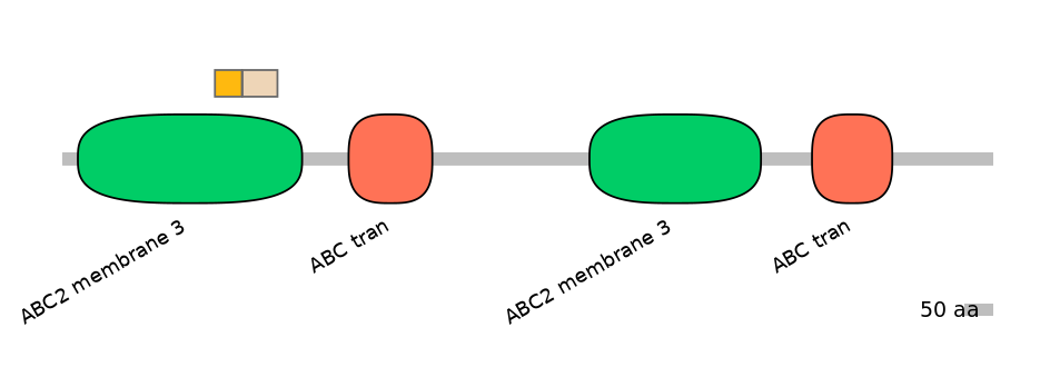 MmuALTD1027278-2_2-EXC