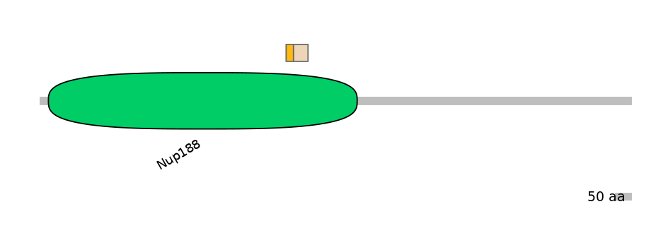 MmuALTD1030563-1_2-EXC