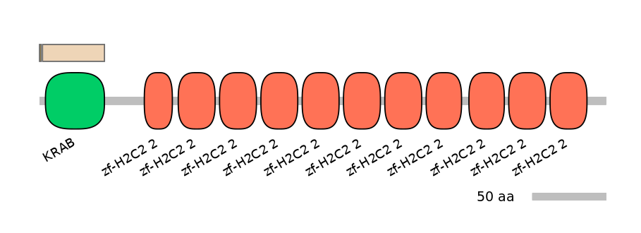 MmuALTD1036910-2_2-EXC