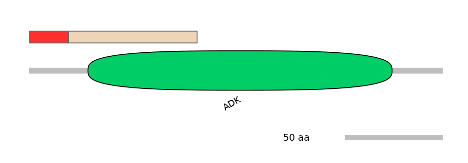 MmuALTD1038343-3_3-INC