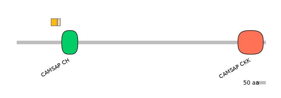 MmuEX0000951-EXC