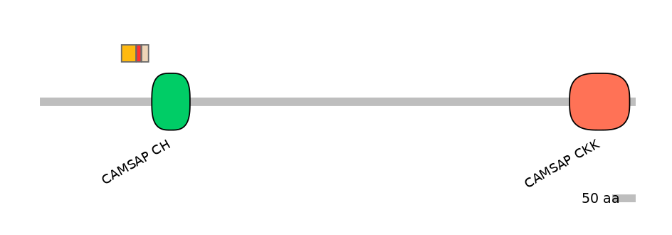 MmuEX0000951-INC