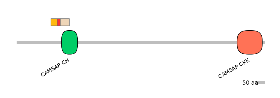 MmuEX0000952-INC