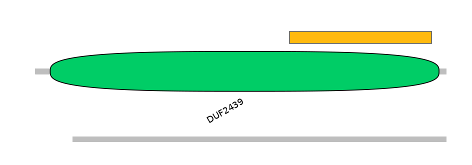 MmuEX0001493-EXC