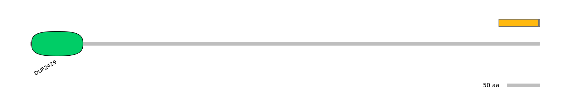 MmuEX0001498-EXC