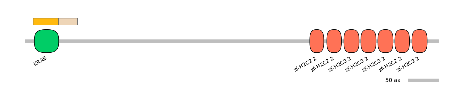 MmuEX0002493-EXC