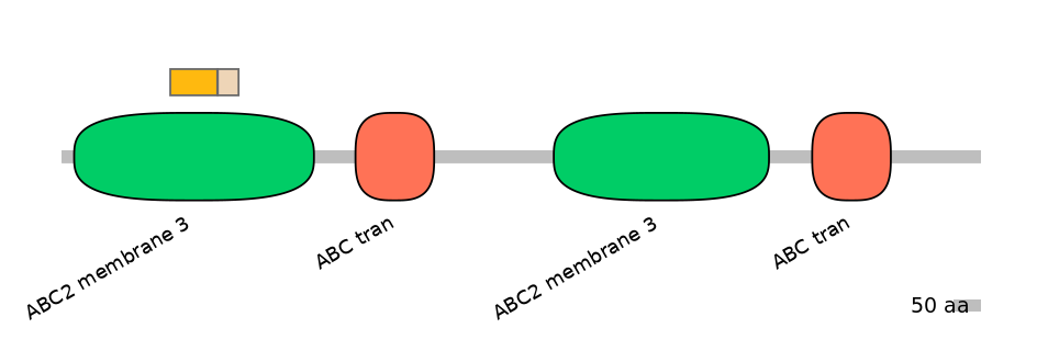 MmuEX0002952-EXC