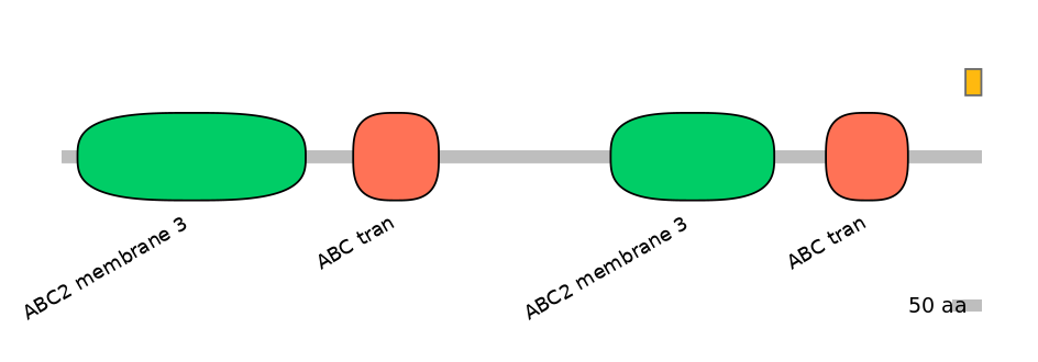 MmuEX0003029-EXC