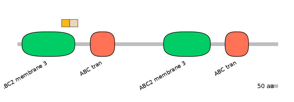MmuEX0003039-EXC