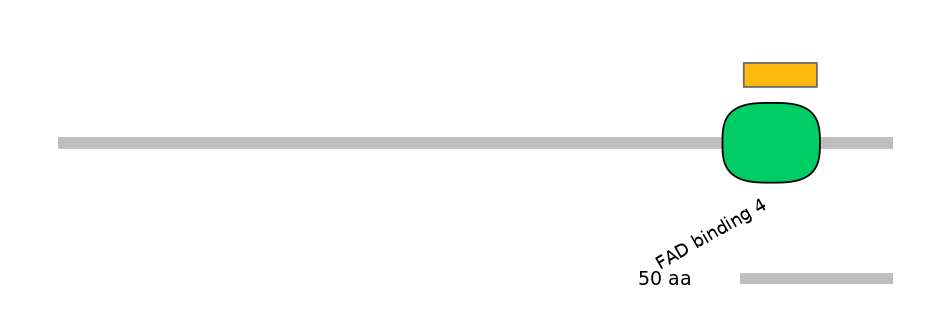 MmuEX0004283-EXC