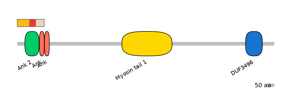 MmuEX0005059-INC