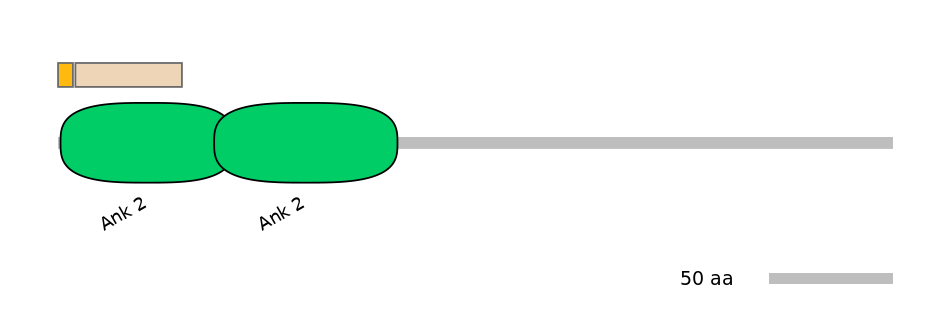 MmuEX0005112-EXC