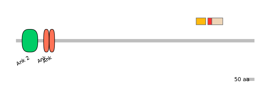 MmuEX0005119-INC