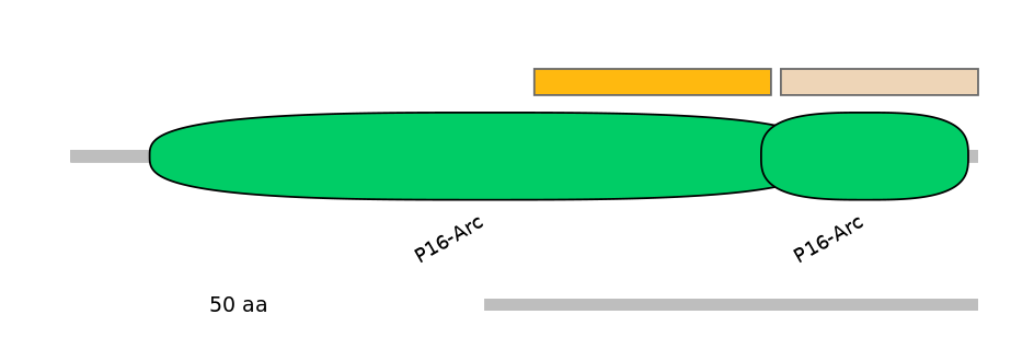 MmuEX0006241-EXC