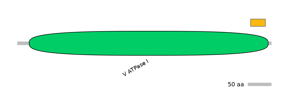 MmuEX0006895-EXC