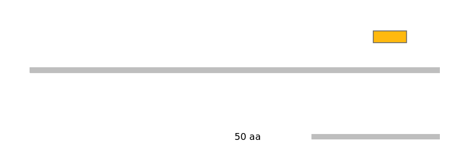 MmuEX0006951-EXC