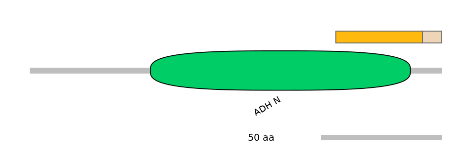 MmuEX0007409-EXC